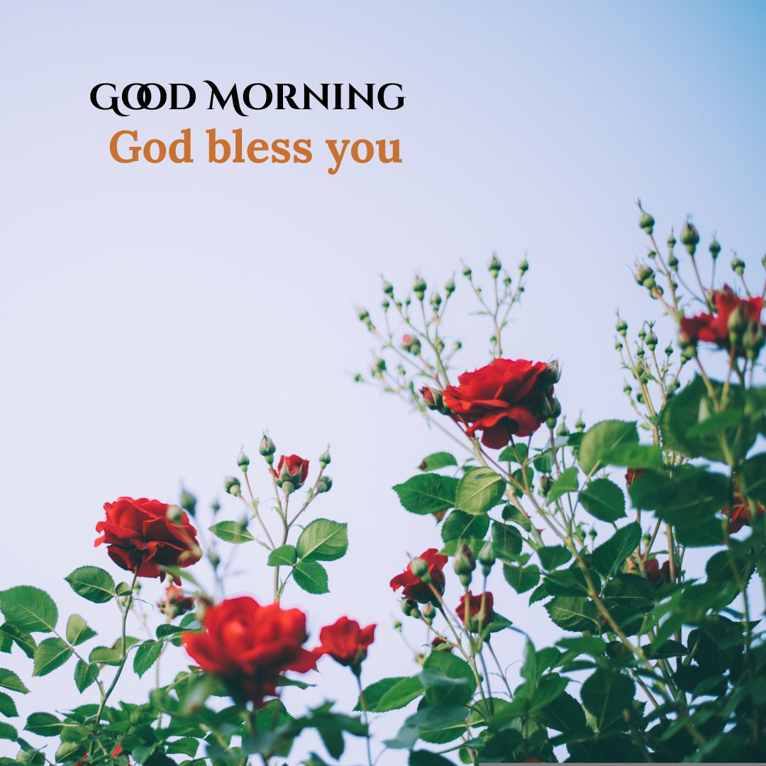 Good morning greeting with the text good morning image with god bless you in a cheerful design